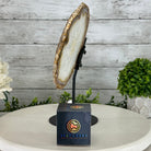 Natural Brazilian Agate "Butterfly Wings", 10.5" Tall #5050NA-126 - Brazil GemsBrazil GemsNatural Brazilian Agate "Butterfly Wings", 10.5" Tall #5050NA-126Agate Butterfly Wings5050NA-126