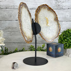Natural Brazilian Agate "Butterfly Wings", 10.5" Tall #5050NA-126 - Brazil GemsBrazil GemsNatural Brazilian Agate "Butterfly Wings", 10.5" Tall #5050NA-126Agate Butterfly Wings5050NA-126