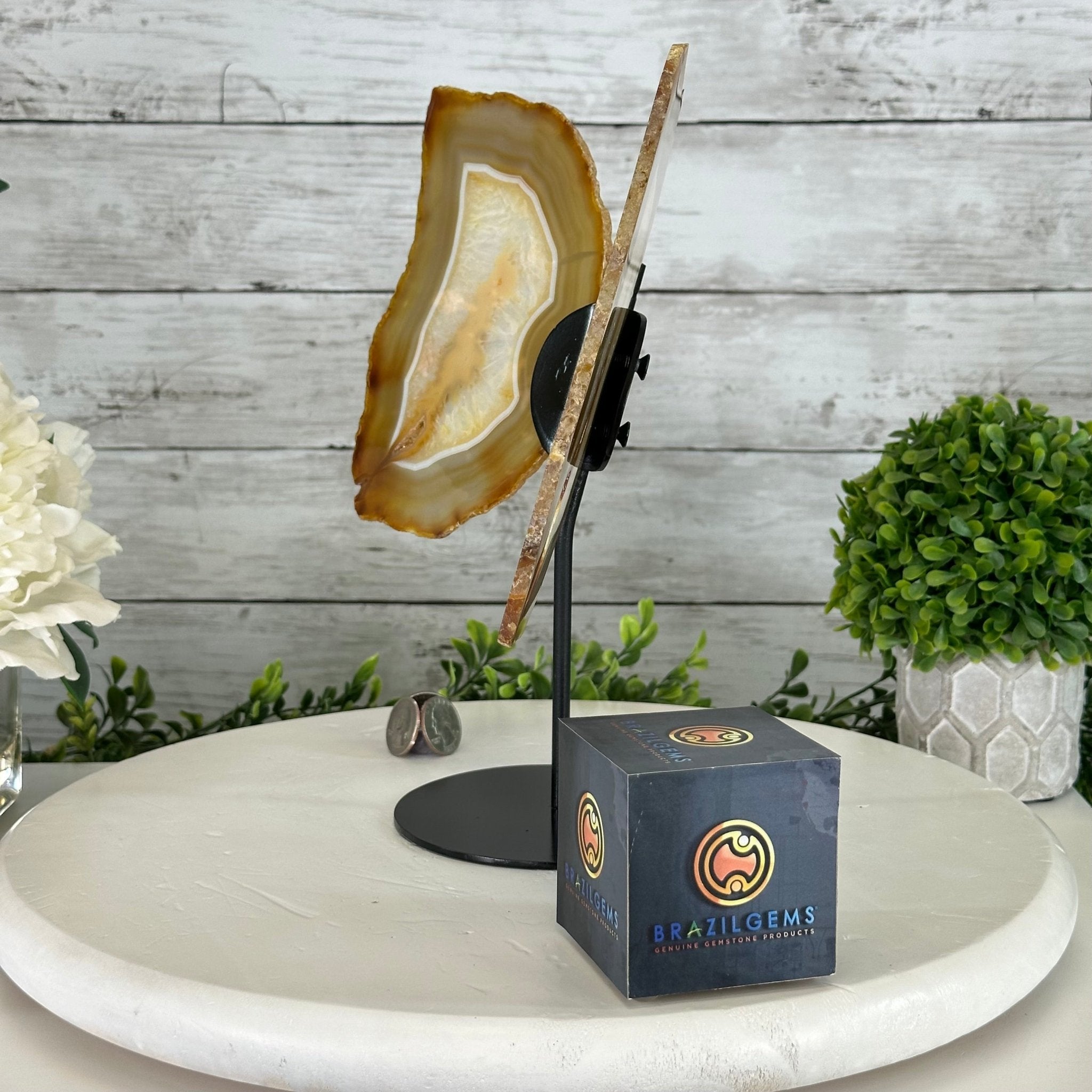 Natural Brazilian Agate "Butterfly Wings", 10.6" Tall #5050NA-122 - Brazil GemsBrazil GemsNatural Brazilian Agate "Butterfly Wings", 10.6" Tall #5050NA-122Agate Butterfly Wings5050NA-122