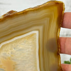 Natural Brazilian Agate "Butterfly Wings", 10.6" Tall #5050NA-122 - Brazil GemsBrazil GemsNatural Brazilian Agate "Butterfly Wings", 10.6" Tall #5050NA-122Agate Butterfly Wings5050NA-122