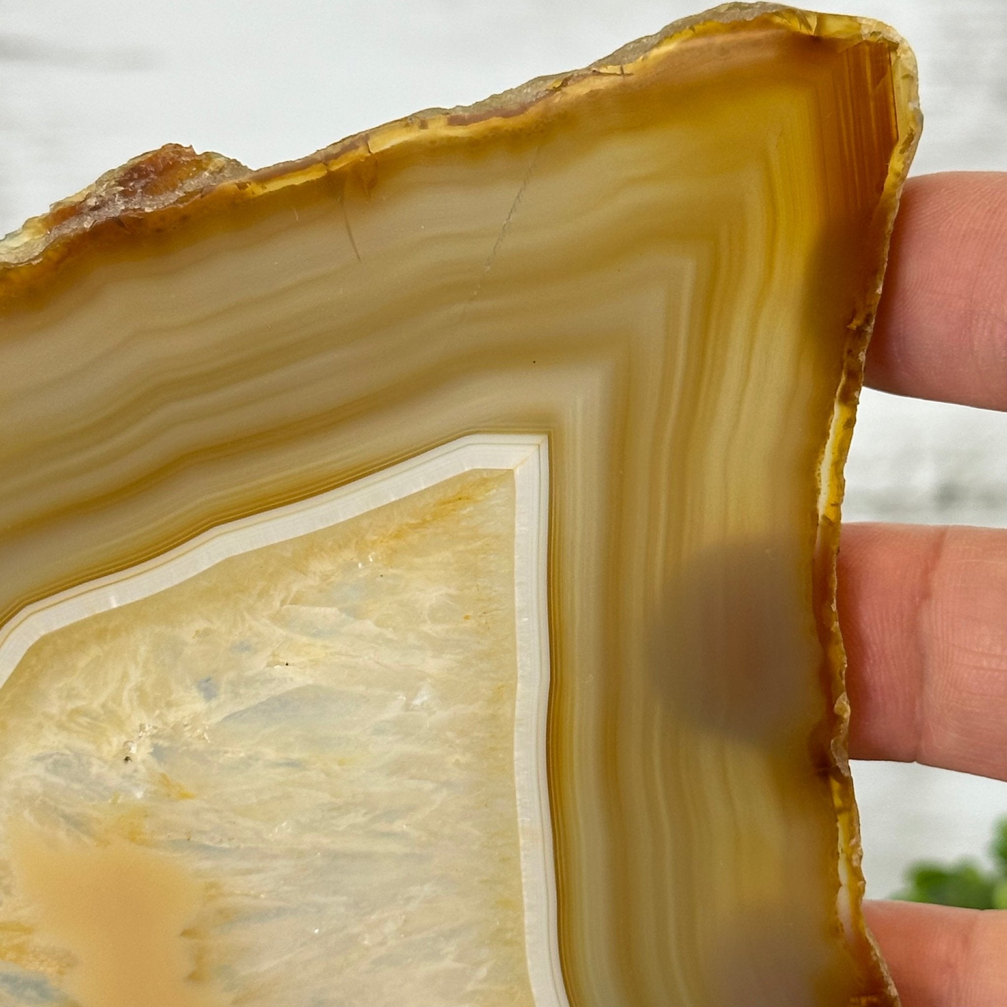 Natural Brazilian Agate "Butterfly Wings", 10.6" Tall #5050NA-122 - Brazil GemsBrazil GemsNatural Brazilian Agate "Butterfly Wings", 10.6" Tall #5050NA-122Agate Butterfly Wings5050NA-122