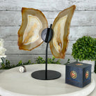 Natural Brazilian Agate "Butterfly Wings", 10.6" Tall #5050NA-122 - Brazil GemsBrazil GemsNatural Brazilian Agate "Butterfly Wings", 10.6" Tall #5050NA-122Agate Butterfly Wings5050NA-122