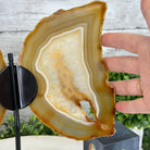 Natural Brazilian Agate "Butterfly Wings", 10.6" Tall #5050NA-122 - Brazil GemsBrazil GemsNatural Brazilian Agate "Butterfly Wings", 10.6" Tall #5050NA-122Agate Butterfly Wings5050NA-122