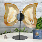 Natural Brazilian Agate "Butterfly Wings", 10.6" Tall #5050NA-122 - Brazil GemsBrazil GemsNatural Brazilian Agate "Butterfly Wings", 10.6" Tall #5050NA-122Agate Butterfly Wings5050NA-122