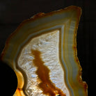 Natural Brazilian Agate "Butterfly Wings", 10.6" Tall #5050NA-122 - Brazil GemsBrazil GemsNatural Brazilian Agate "Butterfly Wings", 10.6" Tall #5050NA-122Agate Butterfly Wings5050NA-122