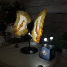 Natural Brazilian Agate "Butterfly Wings", 10.6" Tall #5050NA-122 - Brazil GemsBrazil GemsNatural Brazilian Agate "Butterfly Wings", 10.6" Tall #5050NA-122Agate Butterfly Wings5050NA-122