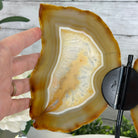 Natural Brazilian Agate "Butterfly Wings", 10.6" Tall #5050NA-122 - Brazil GemsBrazil GemsNatural Brazilian Agate "Butterfly Wings", 10.6" Tall #5050NA-122Agate Butterfly Wings5050NA-122