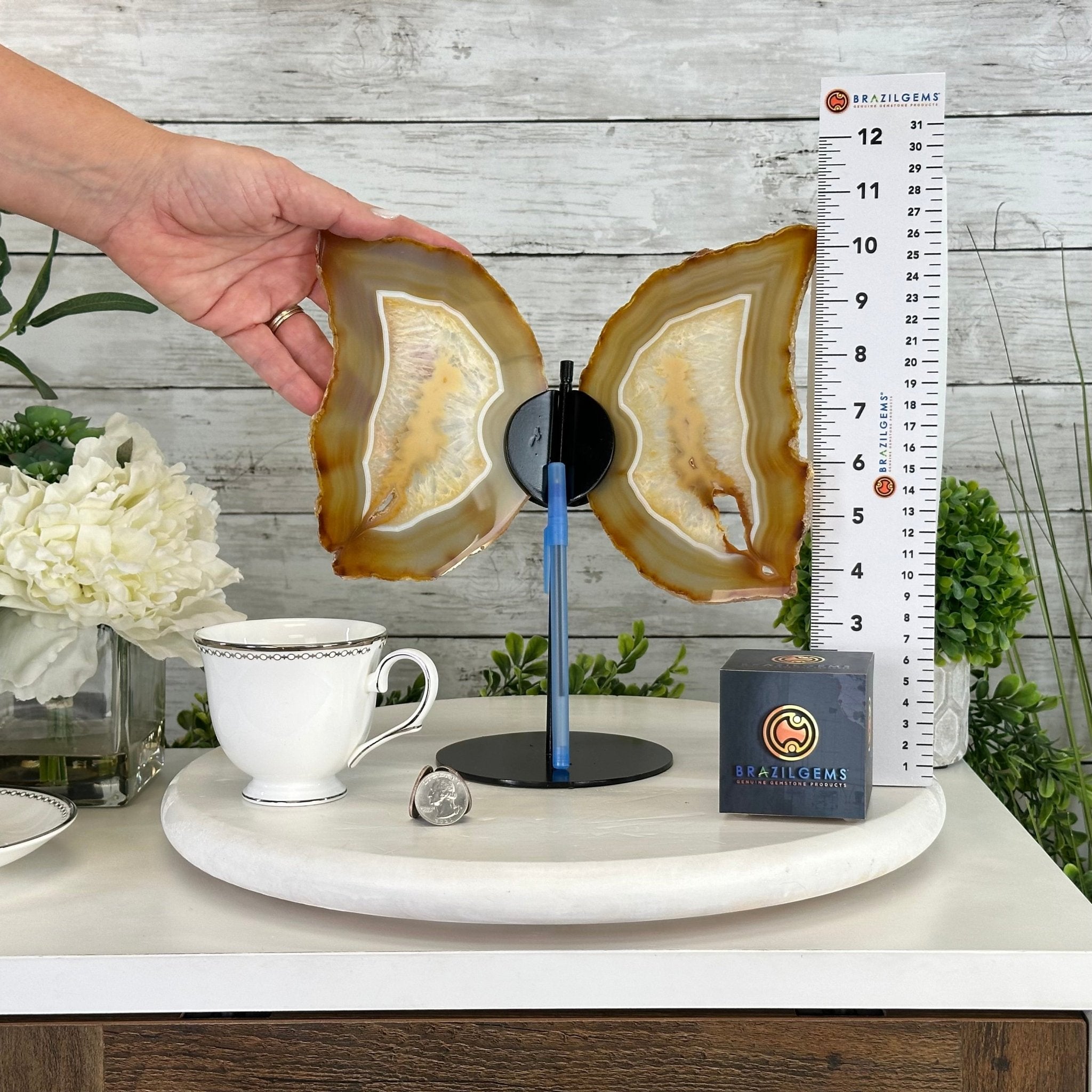 Natural Brazilian Agate "Butterfly Wings", 10.6" Tall #5050NA-122 - Brazil GemsBrazil GemsNatural Brazilian Agate "Butterfly Wings", 10.6" Tall #5050NA-122Agate Butterfly Wings5050NA-122