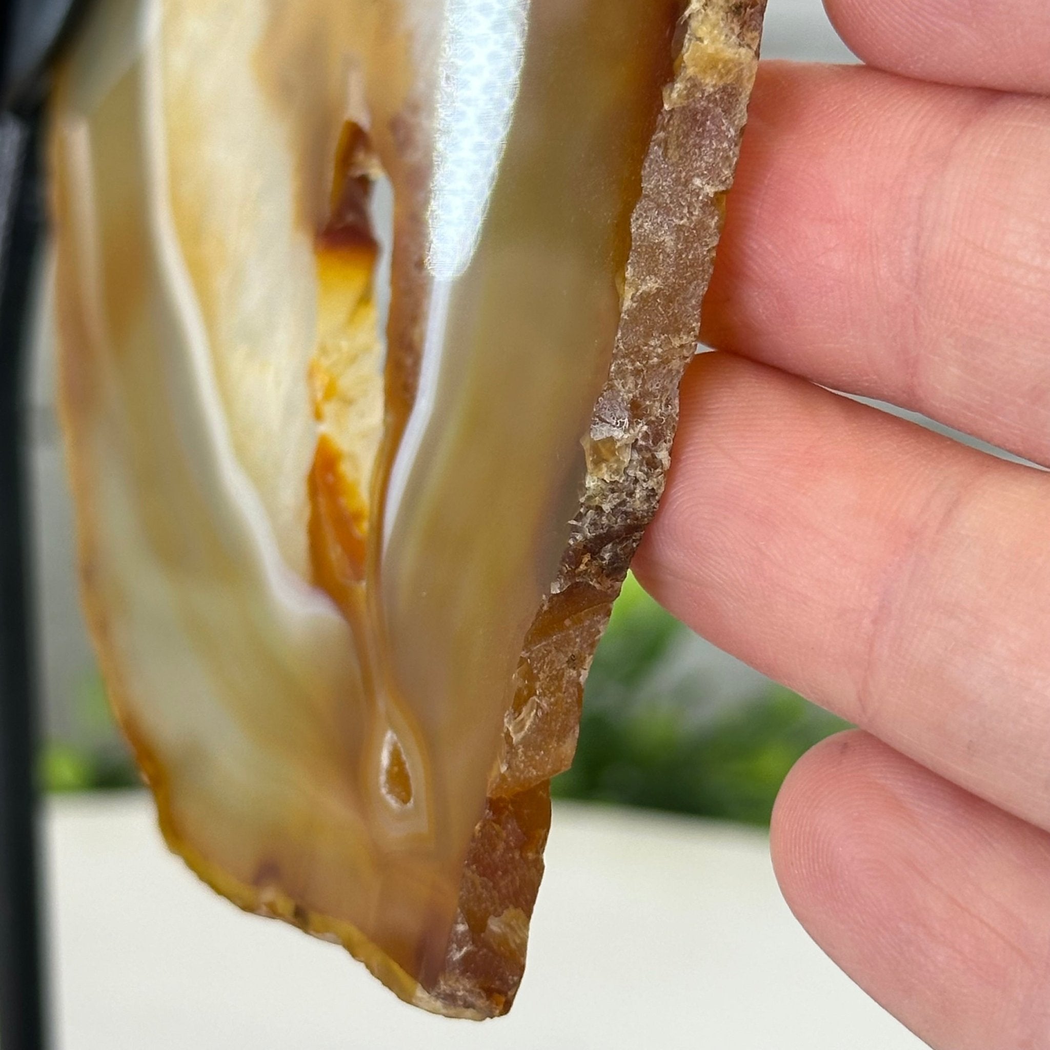 Natural Brazilian Agate "Butterfly Wings", 10.6" Tall #5050NA-122 - Brazil GemsBrazil GemsNatural Brazilian Agate "Butterfly Wings", 10.6" Tall #5050NA-122Agate Butterfly Wings5050NA-122
