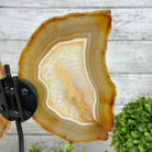 Natural Brazilian Agate "Butterfly Wings", 10.6" Tall #5050NA-122 - Brazil GemsBrazil GemsNatural Brazilian Agate "Butterfly Wings", 10.6" Tall #5050NA-122Agate Butterfly Wings5050NA-122