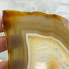 Natural Brazilian Agate "Butterfly Wings", 10.6" Tall #5050NA-122 - Brazil GemsBrazil GemsNatural Brazilian Agate "Butterfly Wings", 10.6" Tall #5050NA-122Agate Butterfly Wings5050NA-122