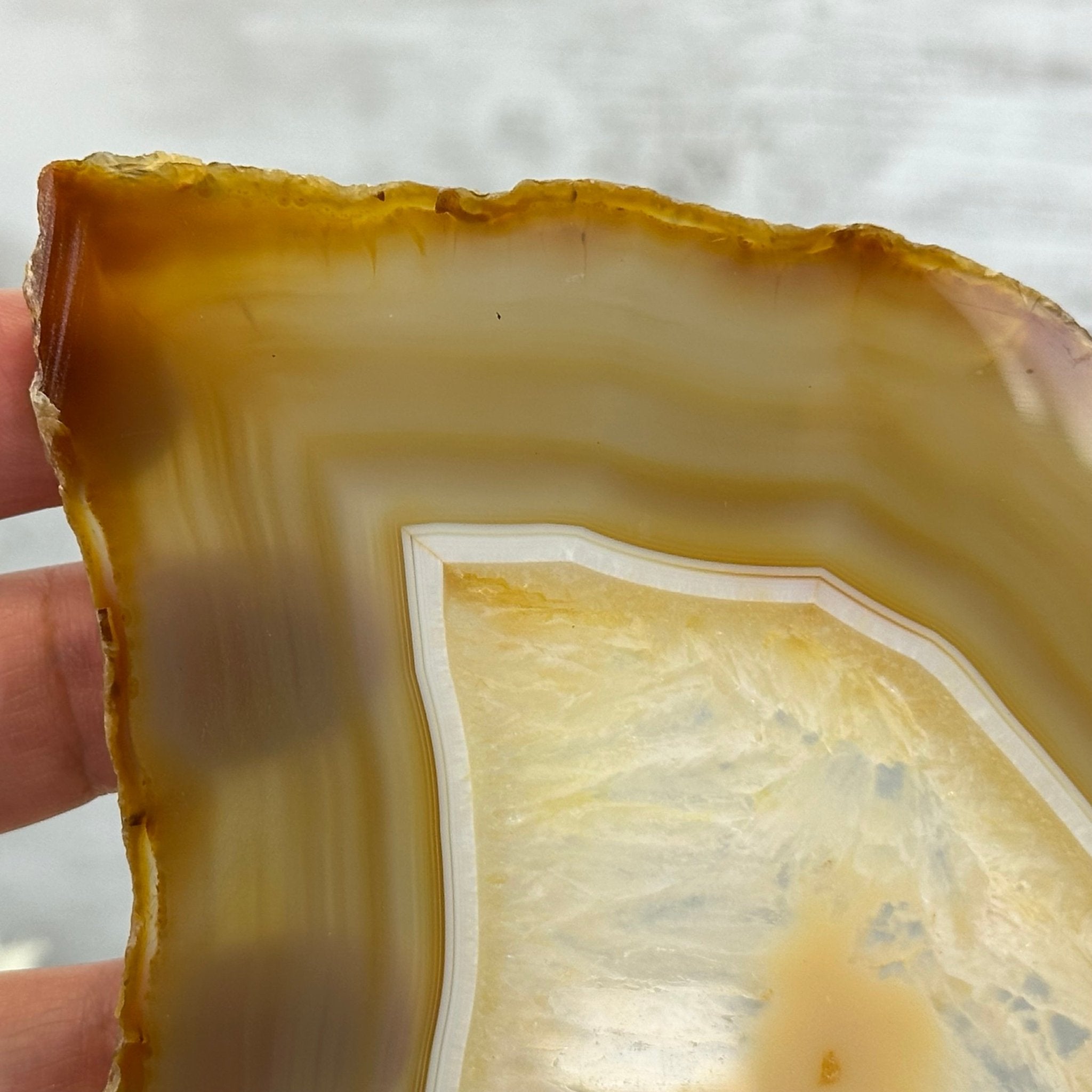 Natural Brazilian Agate "Butterfly Wings", 10.6" Tall #5050NA-122 - Brazil GemsBrazil GemsNatural Brazilian Agate "Butterfly Wings", 10.6" Tall #5050NA-122Agate Butterfly Wings5050NA-122