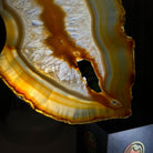 Natural Brazilian Agate "Butterfly Wings", 10.6" Tall #5050NA-122 - Brazil GemsBrazil GemsNatural Brazilian Agate "Butterfly Wings", 10.6" Tall #5050NA-122Agate Butterfly Wings5050NA-122
