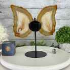 Natural Brazilian Agate "Butterfly Wings", 10.6" Tall #5050NA-122 - Brazil GemsBrazil GemsNatural Brazilian Agate "Butterfly Wings", 10.6" Tall #5050NA-122Agate Butterfly Wings5050NA-122