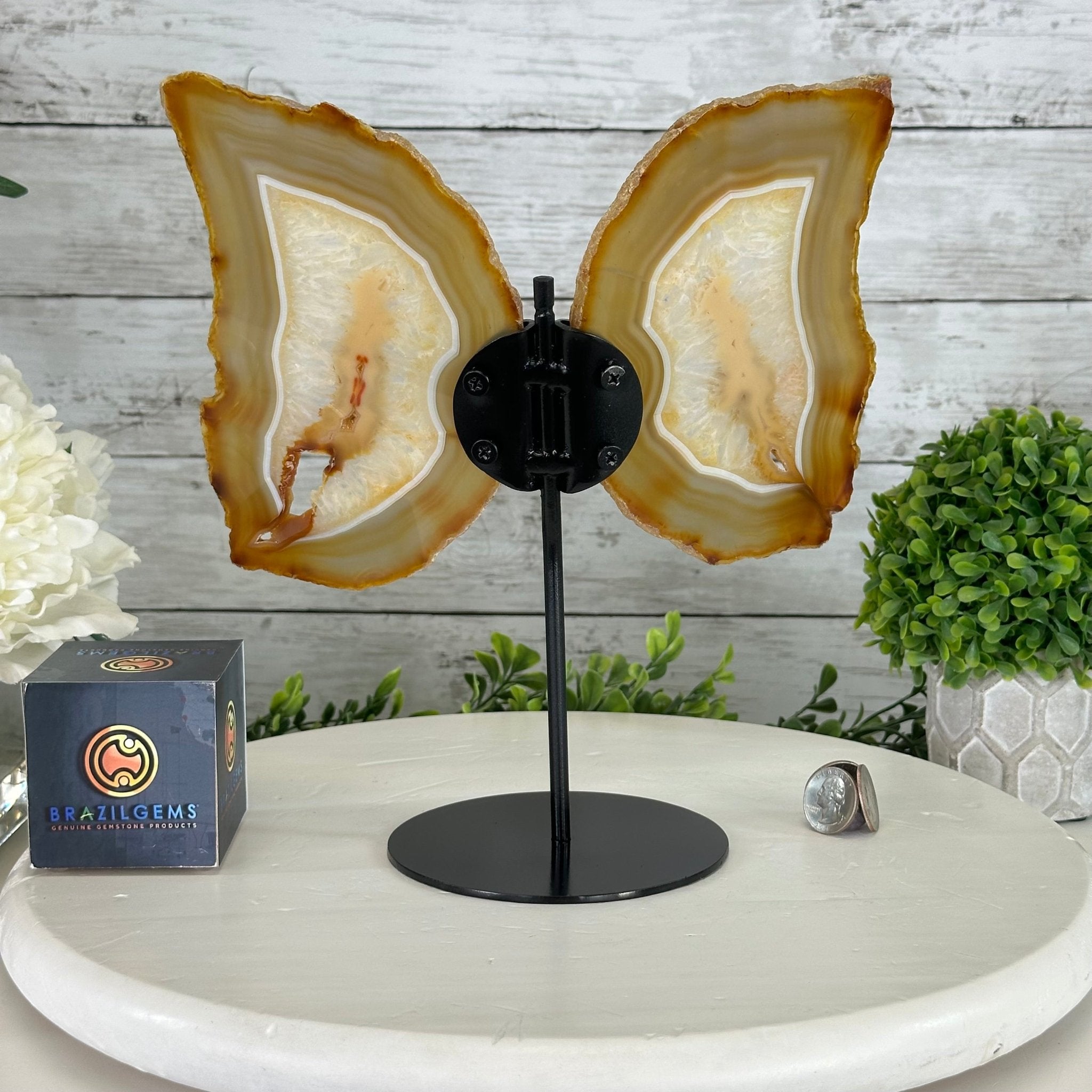 Natural Brazilian Agate "Butterfly Wings", 10.6" Tall #5050NA-122 - Brazil GemsBrazil GemsNatural Brazilian Agate "Butterfly Wings", 10.6" Tall #5050NA-122Agate Butterfly Wings5050NA-122