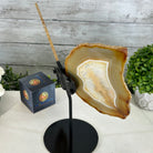 Natural Brazilian Agate "Butterfly Wings", 10.6" Tall #5050NA-122 - Brazil GemsBrazil GemsNatural Brazilian Agate "Butterfly Wings", 10.6" Tall #5050NA-122Agate Butterfly Wings5050NA-122