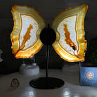 Natural Brazilian Agate "Butterfly Wings", 10.6" Tall #5050NA-122 - Brazil GemsBrazil GemsNatural Brazilian Agate "Butterfly Wings", 10.6" Tall #5050NA-122Agate Butterfly Wings5050NA-122