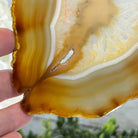 Natural Brazilian Agate "Butterfly Wings", 10.6" Tall #5050NA-122 - Brazil GemsBrazil GemsNatural Brazilian Agate "Butterfly Wings", 10.6" Tall #5050NA-122Agate Butterfly Wings5050NA-122