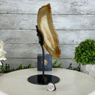 Natural Brazilian Agate "Butterfly Wings", 10.6" Tall #5050NA-122 - Brazil GemsBrazil GemsNatural Brazilian Agate "Butterfly Wings", 10.6" Tall #5050NA-122Agate Butterfly Wings5050NA-122