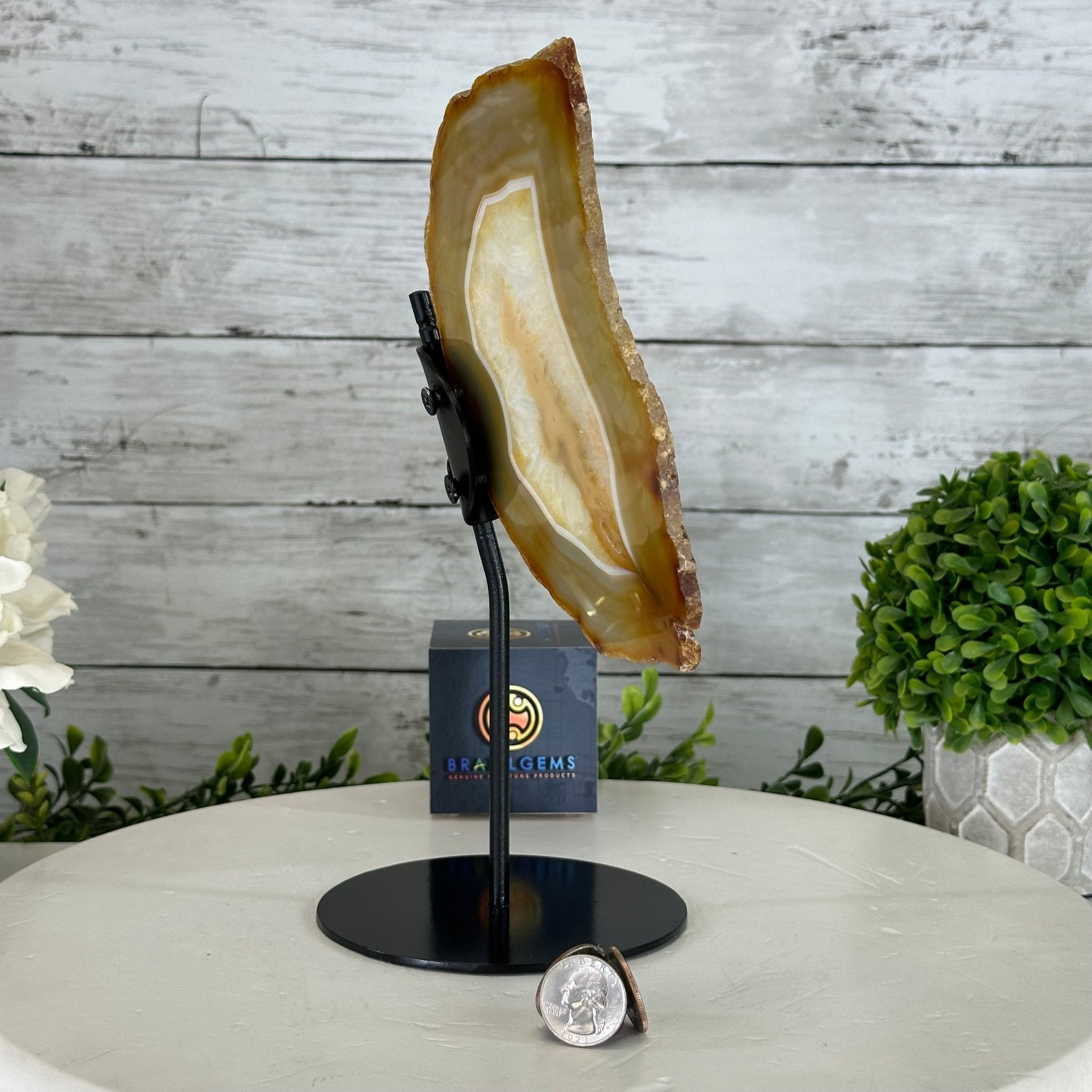 Natural Brazilian Agate "Butterfly Wings", 10.6" Tall #5050NA-122 - Brazil GemsBrazil GemsNatural Brazilian Agate "Butterfly Wings", 10.6" Tall #5050NA-122Agate Butterfly Wings5050NA-122
