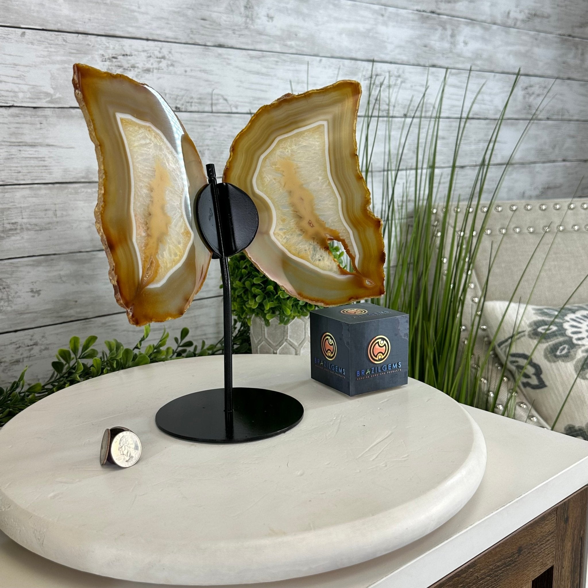 Natural Brazilian Agate "Butterfly Wings", 10.6" Tall #5050NA-122 - Brazil GemsBrazil GemsNatural Brazilian Agate "Butterfly Wings", 10.6" Tall #5050NA-122Agate Butterfly Wings5050NA-122