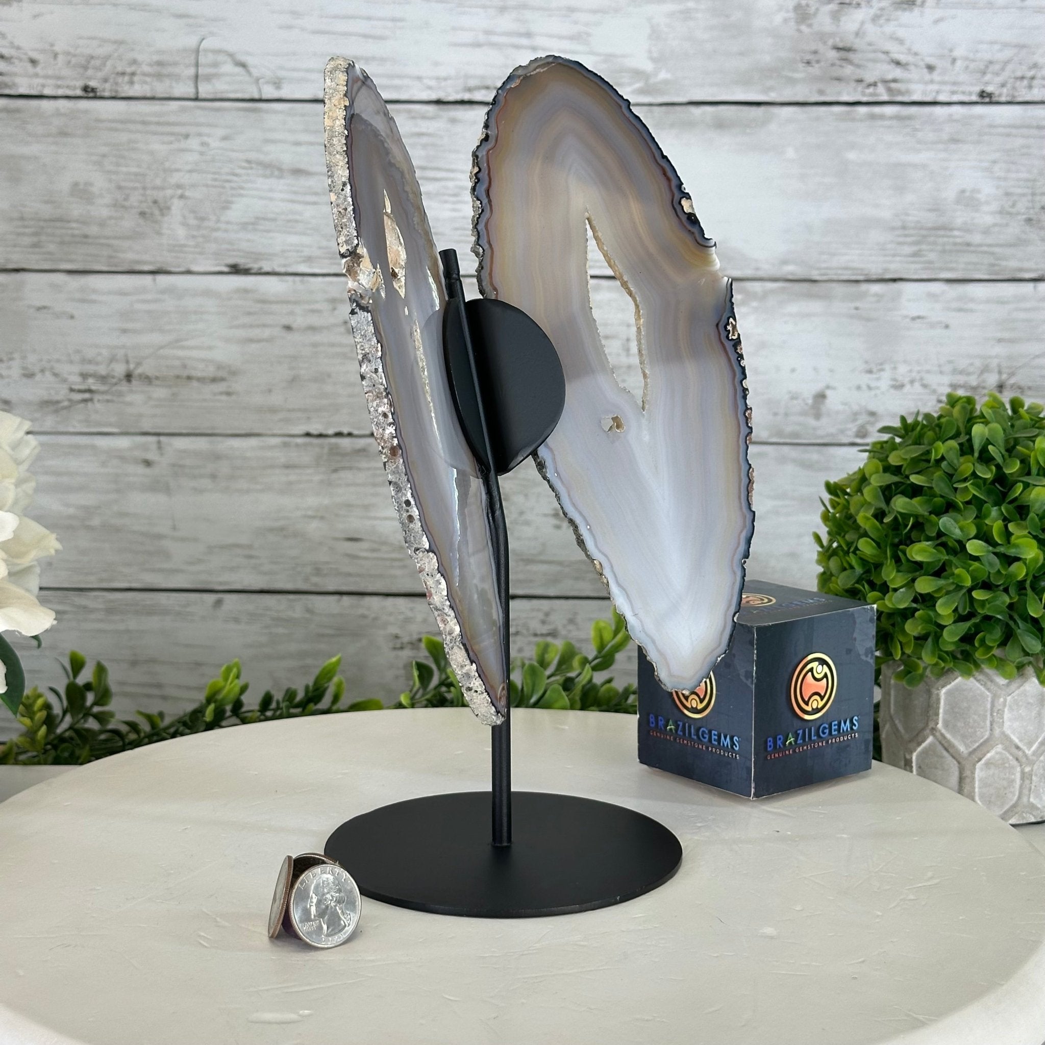 Natural Brazilian Agate "Butterfly Wings", 10.7" Tall #5050NA-117 - Brazil GemsBrazil GemsNatural Brazilian Agate "Butterfly Wings", 10.7" Tall #5050NA-117Agate Butterfly Wings5050NA-117