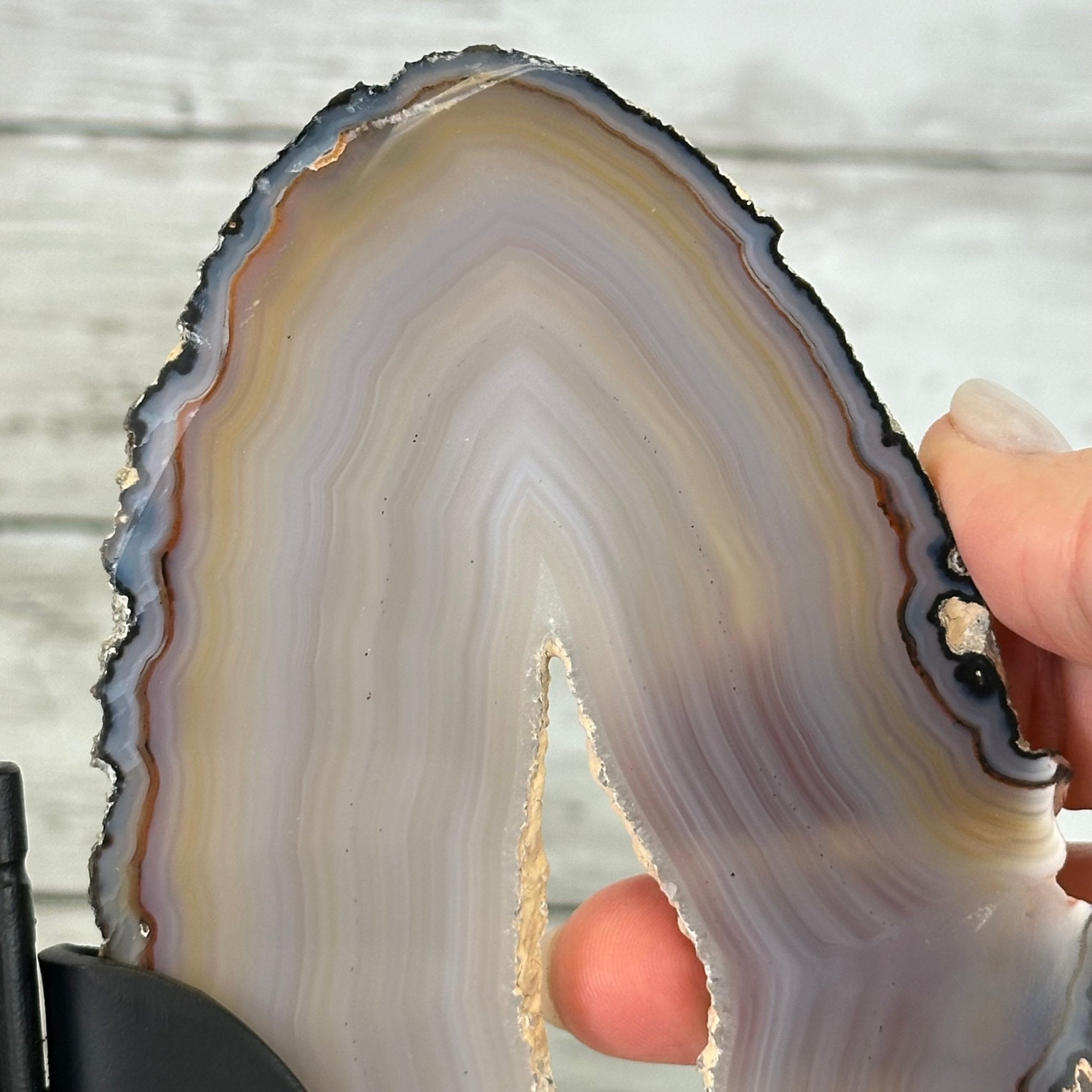Natural Brazilian Agate "Butterfly Wings", 10.7" Tall #5050NA-117 - Brazil GemsBrazil GemsNatural Brazilian Agate "Butterfly Wings", 10.7" Tall #5050NA-117Agate Butterfly Wings5050NA-117