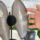 Natural Brazilian Agate "Butterfly Wings", 10.7" Tall #5050NA-117 - Brazil GemsBrazil GemsNatural Brazilian Agate "Butterfly Wings", 10.7" Tall #5050NA-117Agate Butterfly Wings5050NA-117