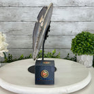 Natural Brazilian Agate "Butterfly Wings", 10.7" Tall #5050NA-117 - Brazil GemsBrazil GemsNatural Brazilian Agate "Butterfly Wings", 10.7" Tall #5050NA-117Agate Butterfly Wings5050NA-117