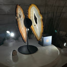 Natural Brazilian Agate "Butterfly Wings", 10.7" Tall #5050NA-117 - Brazil GemsBrazil GemsNatural Brazilian Agate "Butterfly Wings", 10.7" Tall #5050NA-117Agate Butterfly Wings5050NA-117