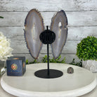 Natural Brazilian Agate "Butterfly Wings", 10.7" Tall #5050NA-117 - Brazil GemsBrazil GemsNatural Brazilian Agate "Butterfly Wings", 10.7" Tall #5050NA-117Agate Butterfly Wings5050NA-117