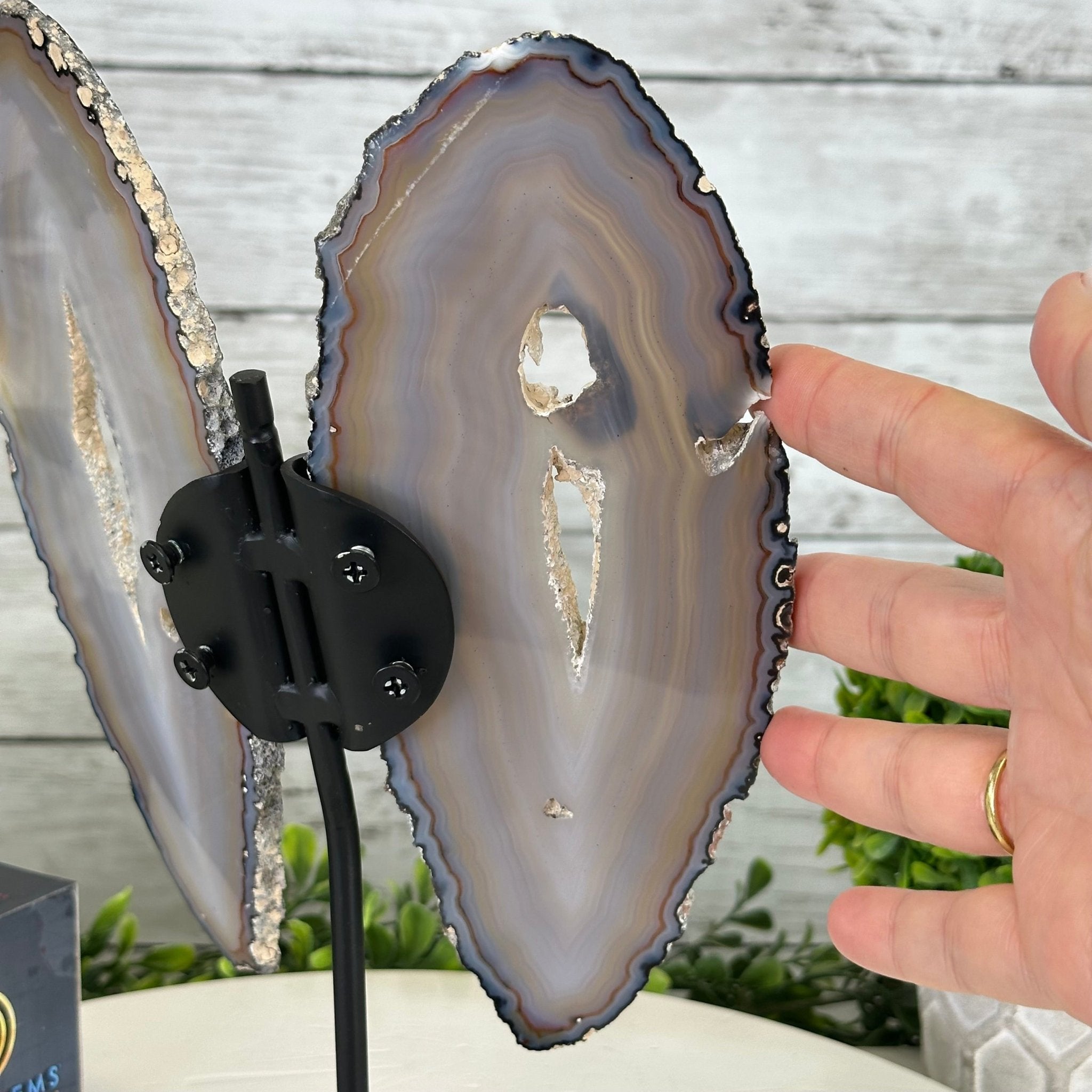 Natural Brazilian Agate "Butterfly Wings", 10.7" Tall #5050NA-117 - Brazil GemsBrazil GemsNatural Brazilian Agate "Butterfly Wings", 10.7" Tall #5050NA-117Agate Butterfly Wings5050NA-117