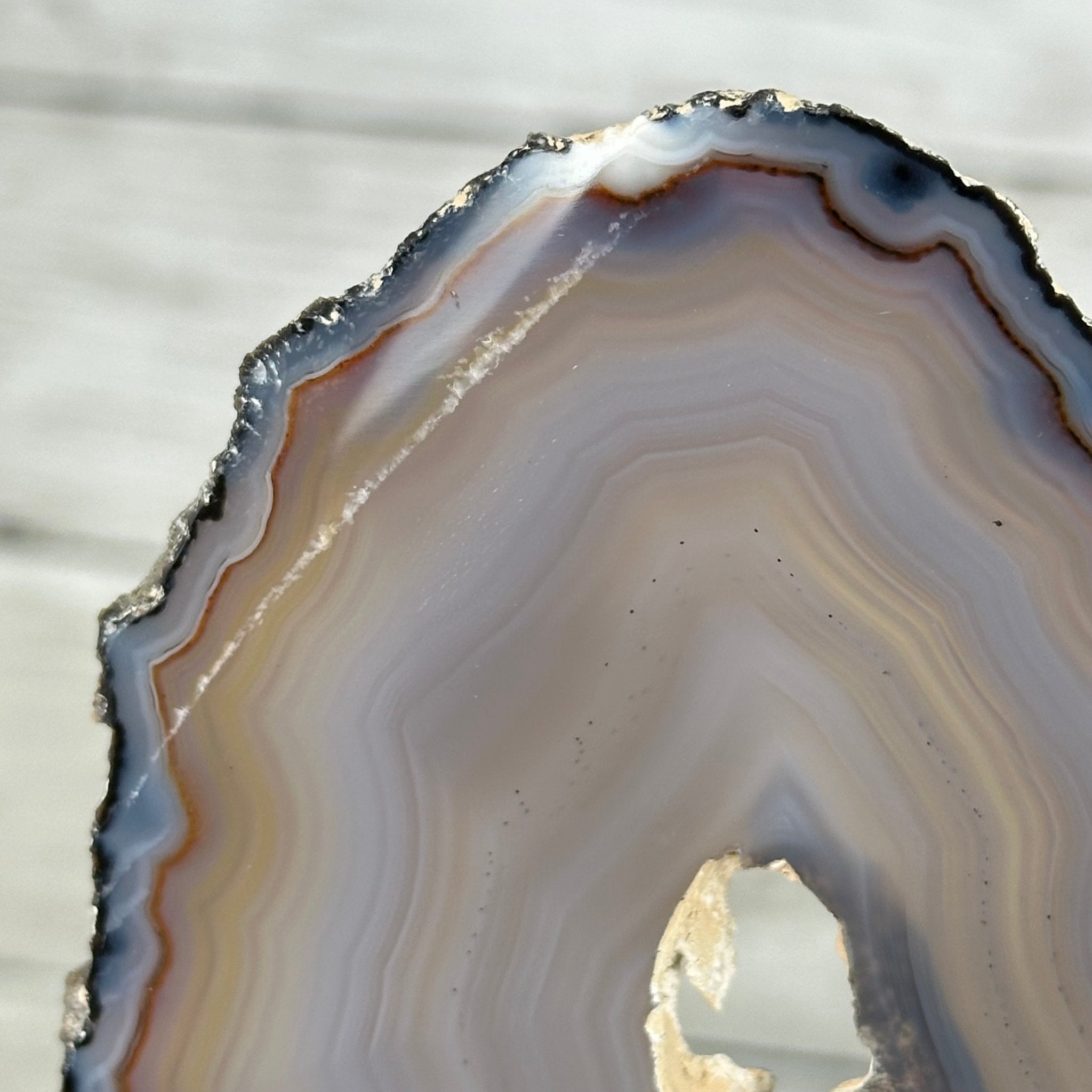 Natural Brazilian Agate "Butterfly Wings", 10.7" Tall #5050NA-117 - Brazil GemsBrazil GemsNatural Brazilian Agate "Butterfly Wings", 10.7" Tall #5050NA-117Agate Butterfly Wings5050NA-117