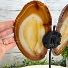 Natural Brazilian Agate "Butterfly Wings", 10.8" Tall #5050NA-120 - Brazil GemsBrazil GemsNatural Brazilian Agate "Butterfly Wings", 10.8" Tall #5050NA-120Agate Butterfly Wings5050NA-120