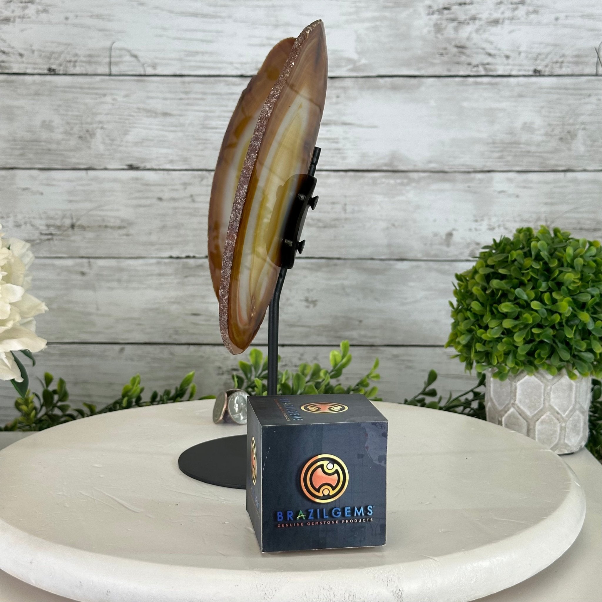 Natural Brazilian Agate "Butterfly Wings", 10.8" Tall #5050NA-120 - Brazil GemsBrazil GemsNatural Brazilian Agate "Butterfly Wings", 10.8" Tall #5050NA-120Agate Butterfly Wings5050NA-120