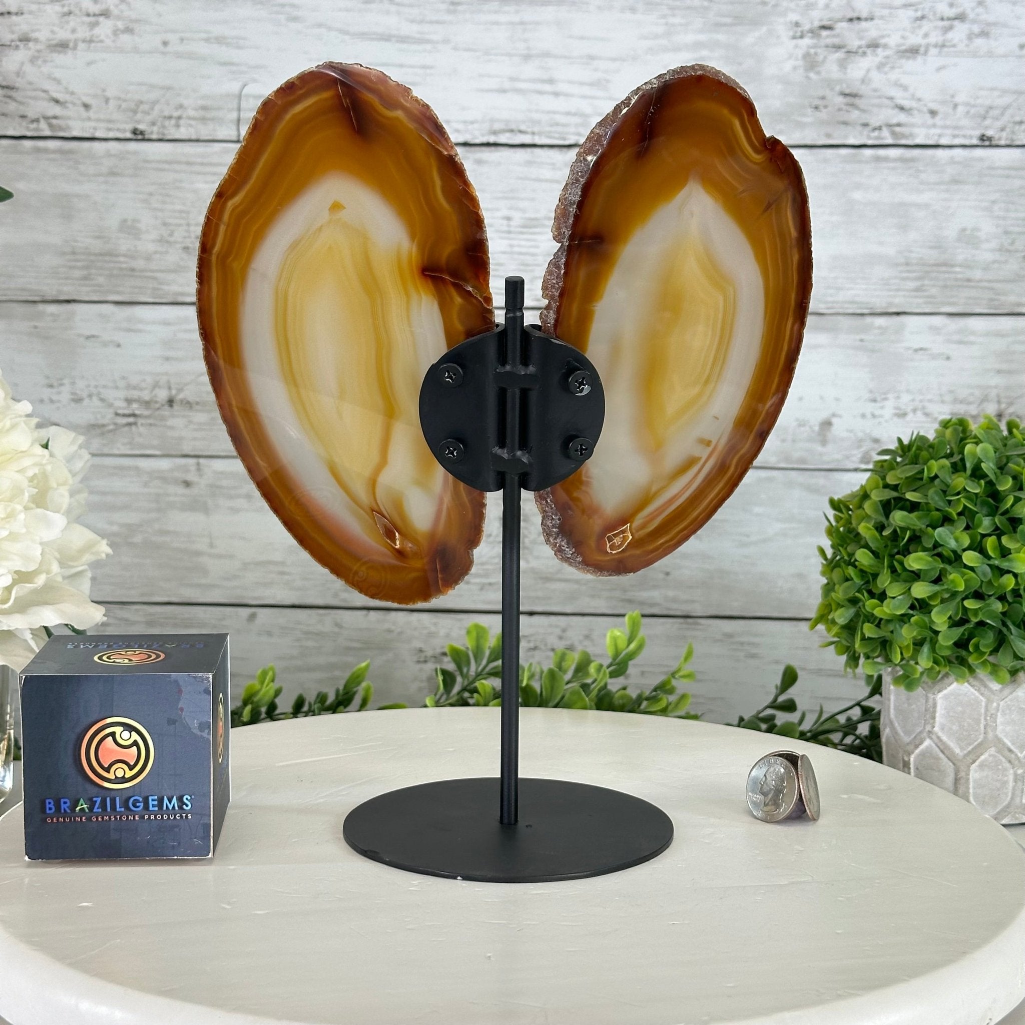 Natural Brazilian Agate "Butterfly Wings", 10.8" Tall #5050NA-120 - Brazil GemsBrazil GemsNatural Brazilian Agate "Butterfly Wings", 10.8" Tall #5050NA-120Agate Butterfly Wings5050NA-120