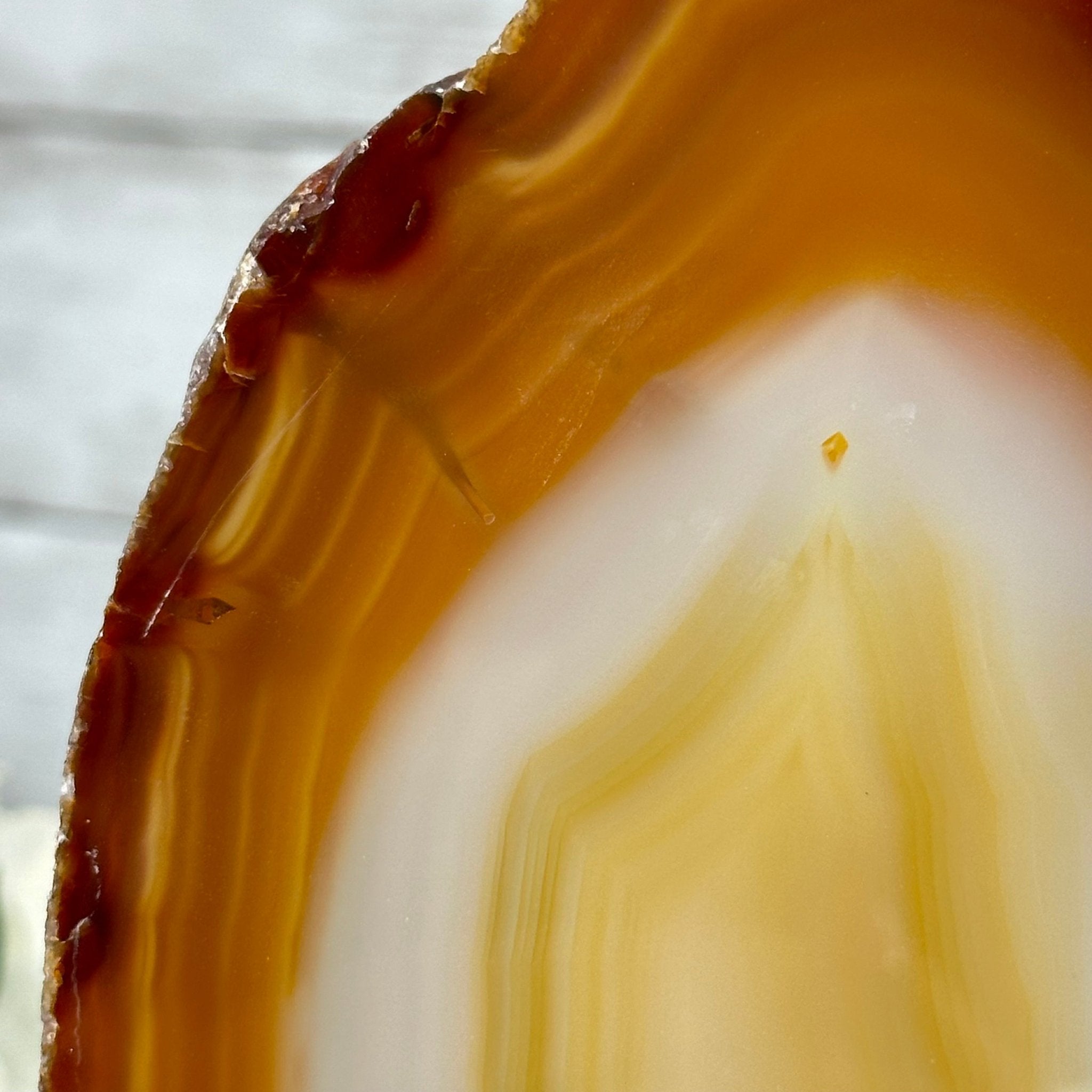 Natural Brazilian Agate "Butterfly Wings", 10.8" Tall #5050NA-120 - Brazil GemsBrazil GemsNatural Brazilian Agate "Butterfly Wings", 10.8" Tall #5050NA-120Agate Butterfly Wings5050NA-120