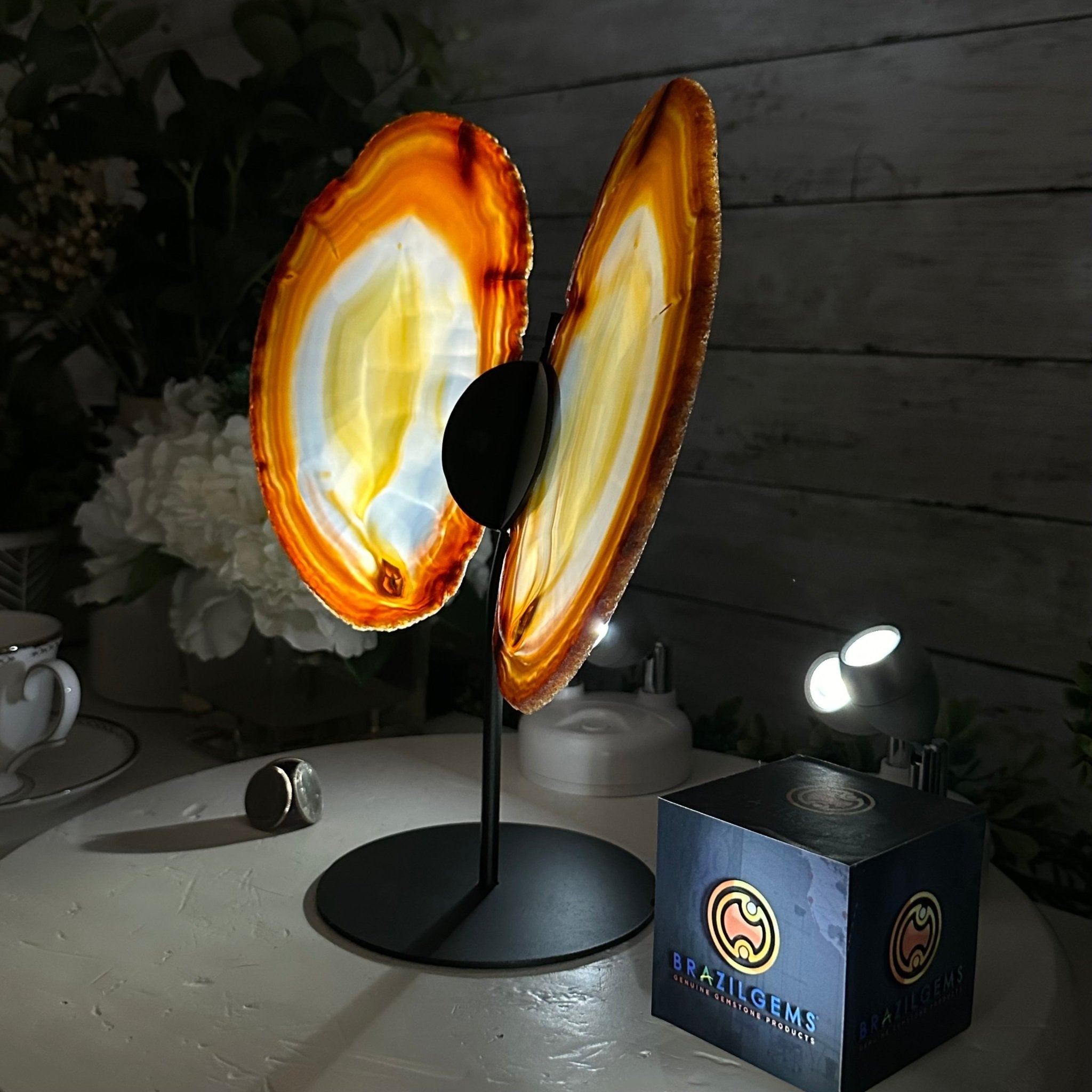 Natural Brazilian Agate "Butterfly Wings", 10.8" Tall #5050NA-120 - Brazil GemsBrazil GemsNatural Brazilian Agate "Butterfly Wings", 10.8" Tall #5050NA-120Agate Butterfly Wings5050NA-120