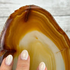 Natural Brazilian Agate "Butterfly Wings", 10.8" Tall #5050NA-120 - Brazil GemsBrazil GemsNatural Brazilian Agate "Butterfly Wings", 10.8" Tall #5050NA-120Agate Butterfly Wings5050NA-120