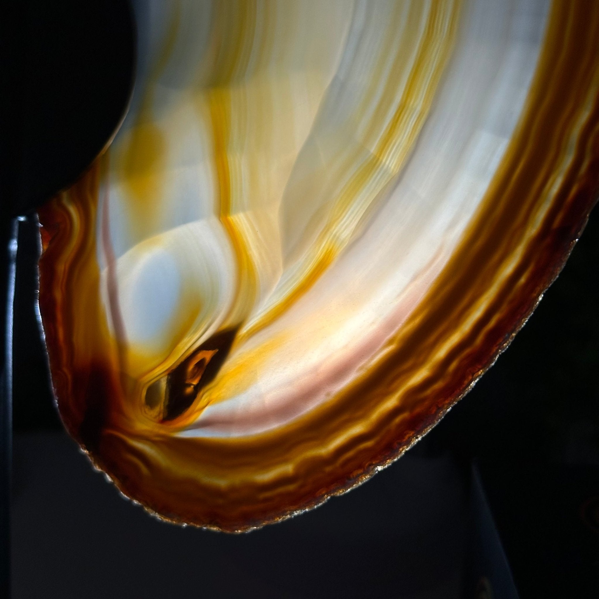 Natural Brazilian Agate "Butterfly Wings", 10.8" Tall #5050NA-120 - Brazil GemsBrazil GemsNatural Brazilian Agate "Butterfly Wings", 10.8" Tall #5050NA-120Agate Butterfly Wings5050NA-120