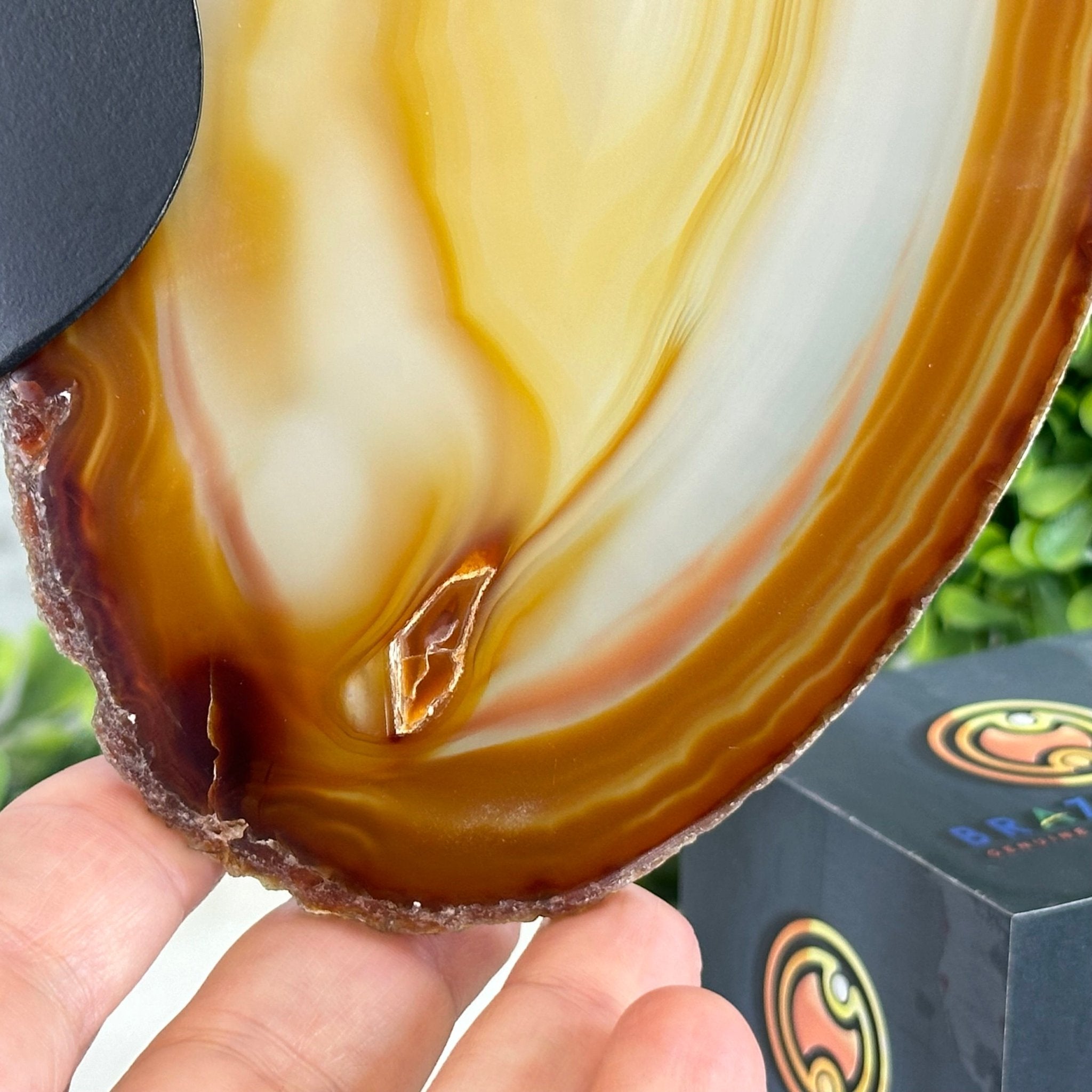 Natural Brazilian Agate "Butterfly Wings", 10.8" Tall #5050NA-120 - Brazil GemsBrazil GemsNatural Brazilian Agate "Butterfly Wings", 10.8" Tall #5050NA-120Agate Butterfly Wings5050NA-120