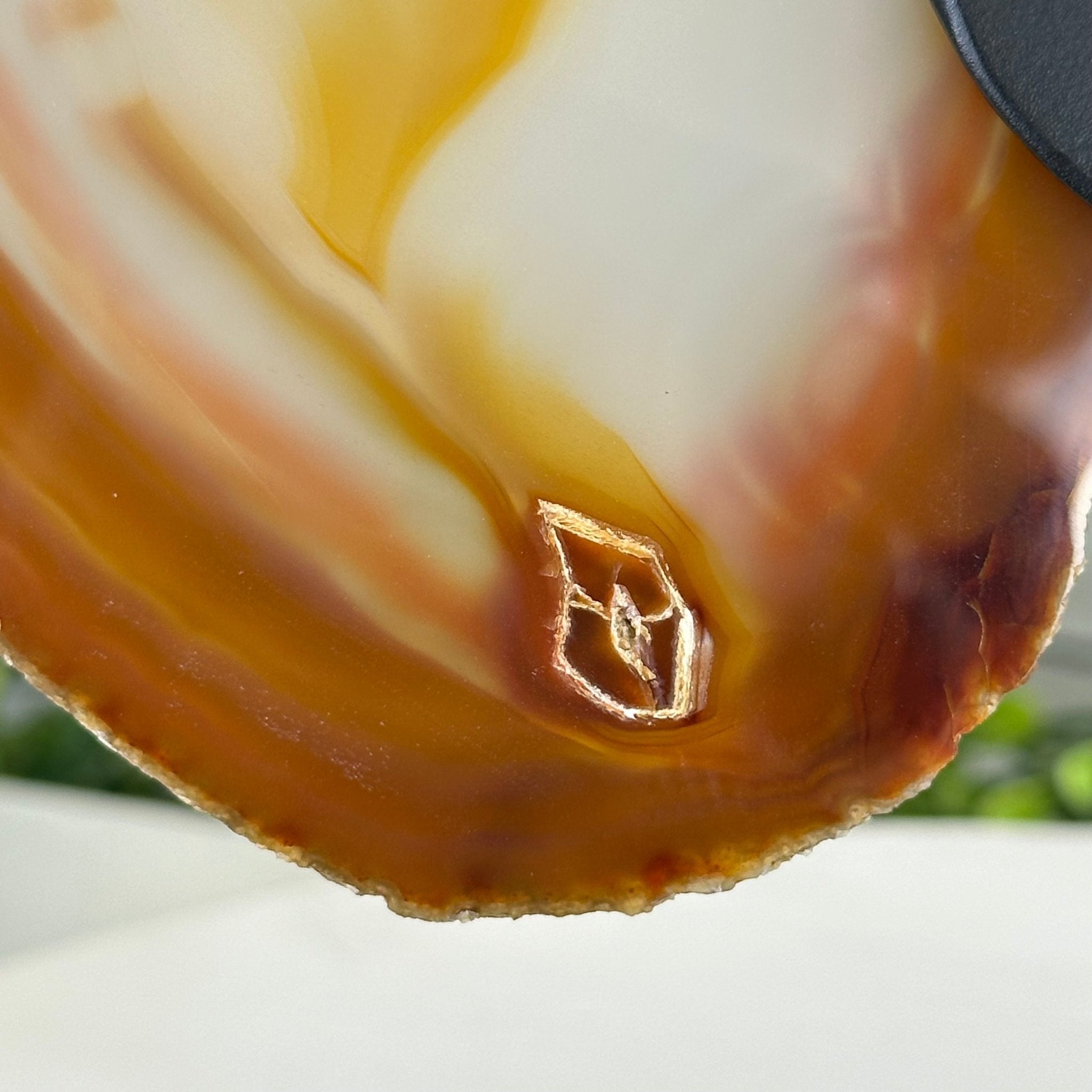 Natural Brazilian Agate "Butterfly Wings", 10.8" Tall #5050NA-120 - Brazil GemsBrazil GemsNatural Brazilian Agate "Butterfly Wings", 10.8" Tall #5050NA-120Agate Butterfly Wings5050NA-120
