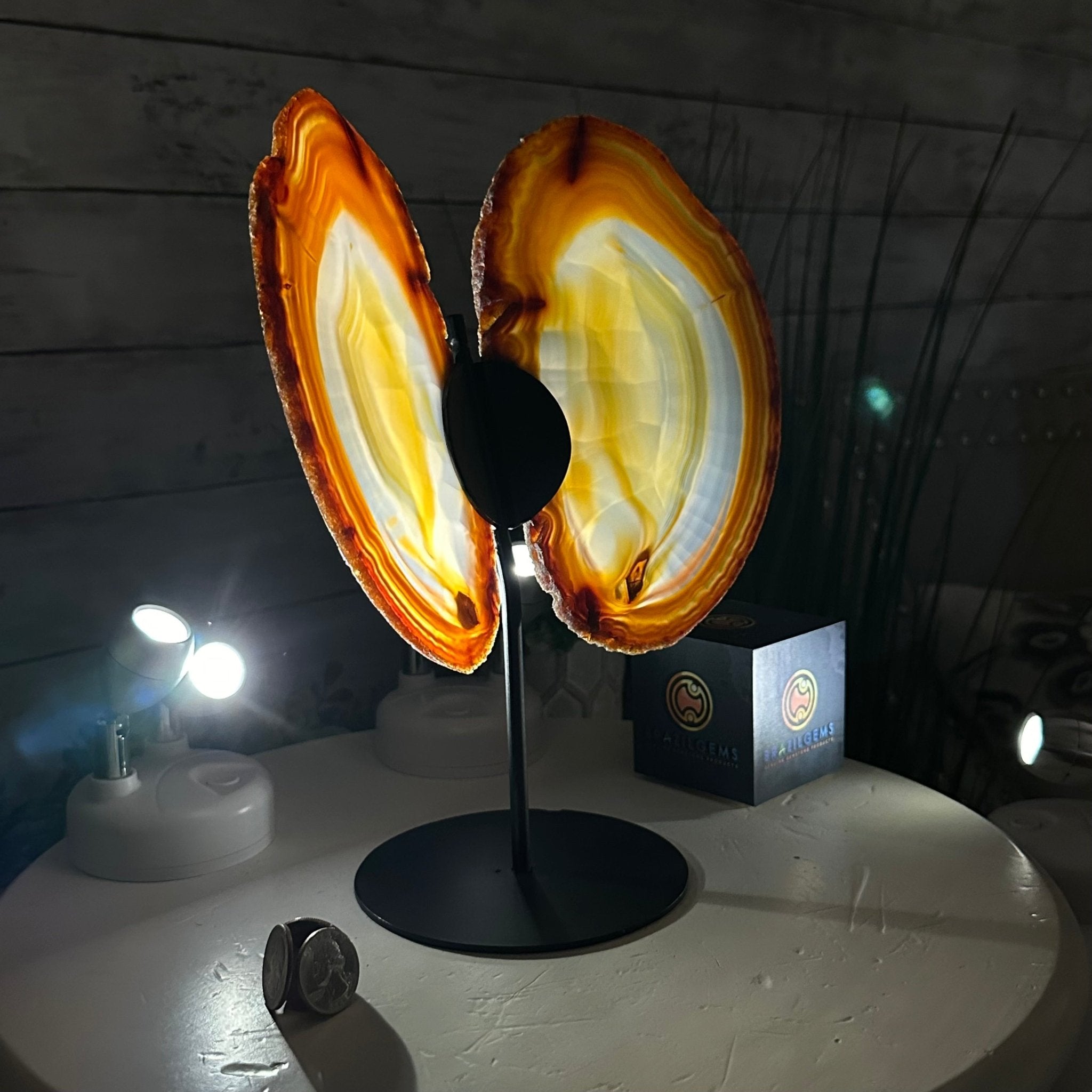 Natural Brazilian Agate "Butterfly Wings", 10.8" Tall #5050NA-120 - Brazil GemsBrazil GemsNatural Brazilian Agate "Butterfly Wings", 10.8" Tall #5050NA-120Agate Butterfly Wings5050NA-120