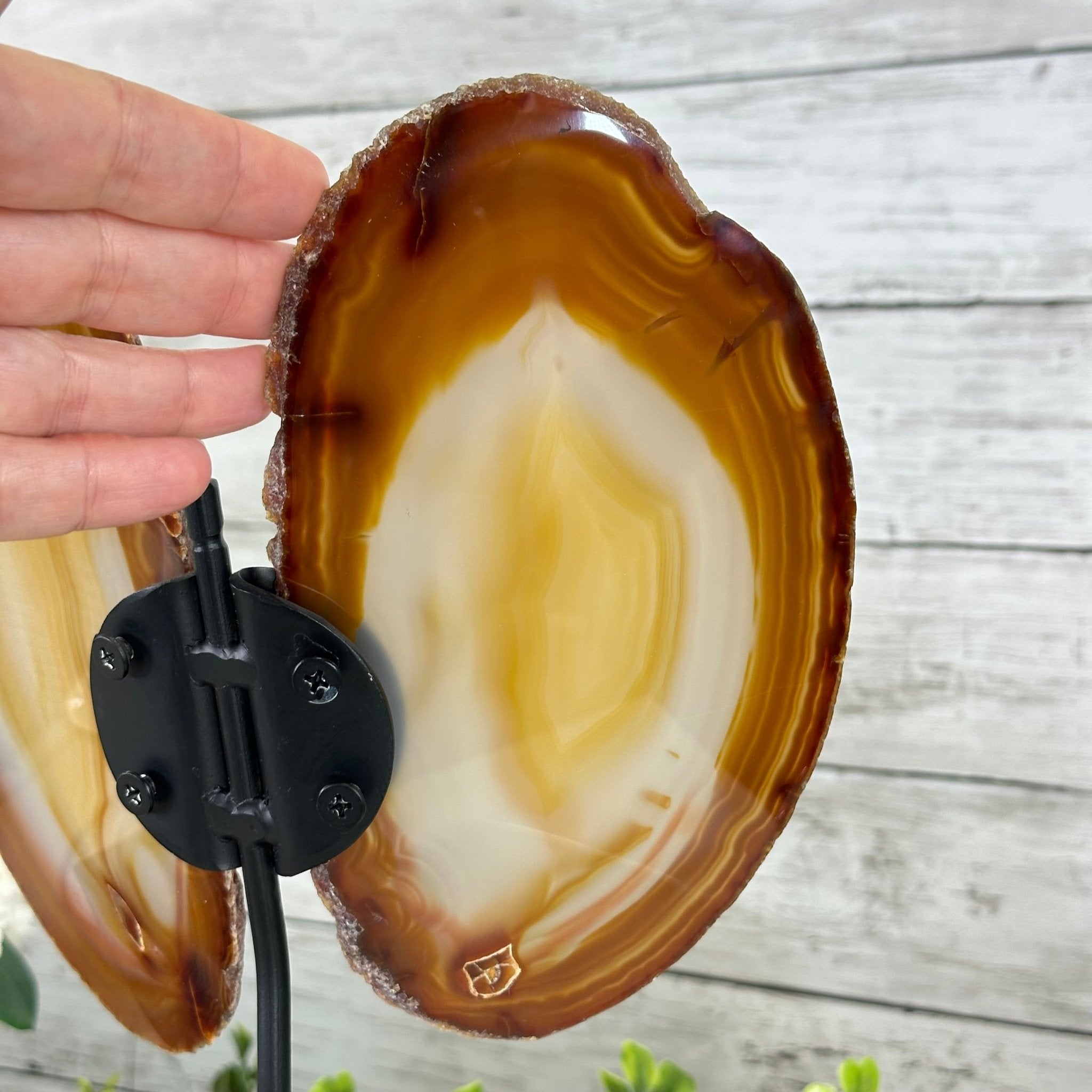 Natural Brazilian Agate "Butterfly Wings", 10.8" Tall #5050NA-120 - Brazil GemsBrazil GemsNatural Brazilian Agate "Butterfly Wings", 10.8" Tall #5050NA-120Agate Butterfly Wings5050NA-120