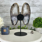 Natural Brazilian Agate "Butterfly Wings", 11" Tall #5050NA-113 - Brazil GemsBrazil GemsNatural Brazilian Agate "Butterfly Wings", 11" Tall #5050NA-113Agate Butterfly Wings5050NA-113