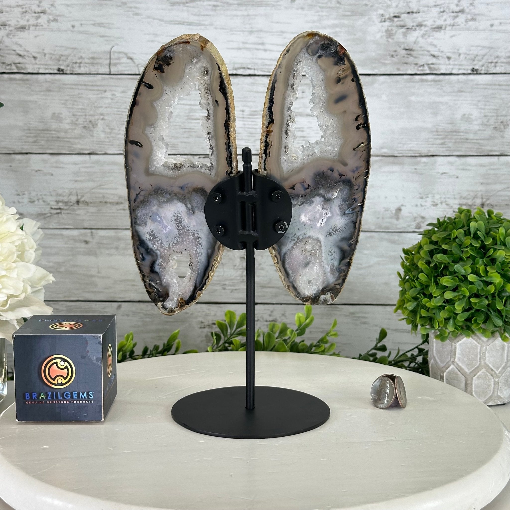Natural Brazilian Agate "Butterfly Wings", 11" Tall #5050NA-113 - Brazil GemsBrazil GemsNatural Brazilian Agate "Butterfly Wings", 11" Tall #5050NA-113Agate Butterfly Wings5050NA-113