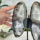 Natural Brazilian Agate "Butterfly Wings", 11" Tall #5050NA-113 - Brazil GemsBrazil GemsNatural Brazilian Agate "Butterfly Wings", 11" Tall #5050NA-113Agate Butterfly Wings5050NA-113