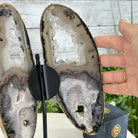 Natural Brazilian Agate "Butterfly Wings", 11" Tall #5050NA-113 - Brazil GemsBrazil GemsNatural Brazilian Agate "Butterfly Wings", 11" Tall #5050NA-113Agate Butterfly Wings5050NA-113