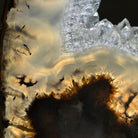 Natural Brazilian Agate "Butterfly Wings", 11" Tall #5050NA-113 - Brazil GemsBrazil GemsNatural Brazilian Agate "Butterfly Wings", 11" Tall #5050NA-113Agate Butterfly Wings5050NA-113