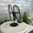 Natural Brazilian Agate "Butterfly Wings", 11" Tall #5050NA-113 - Brazil GemsBrazil GemsNatural Brazilian Agate "Butterfly Wings", 11" Tall #5050NA-113Agate Butterfly Wings5050NA-113